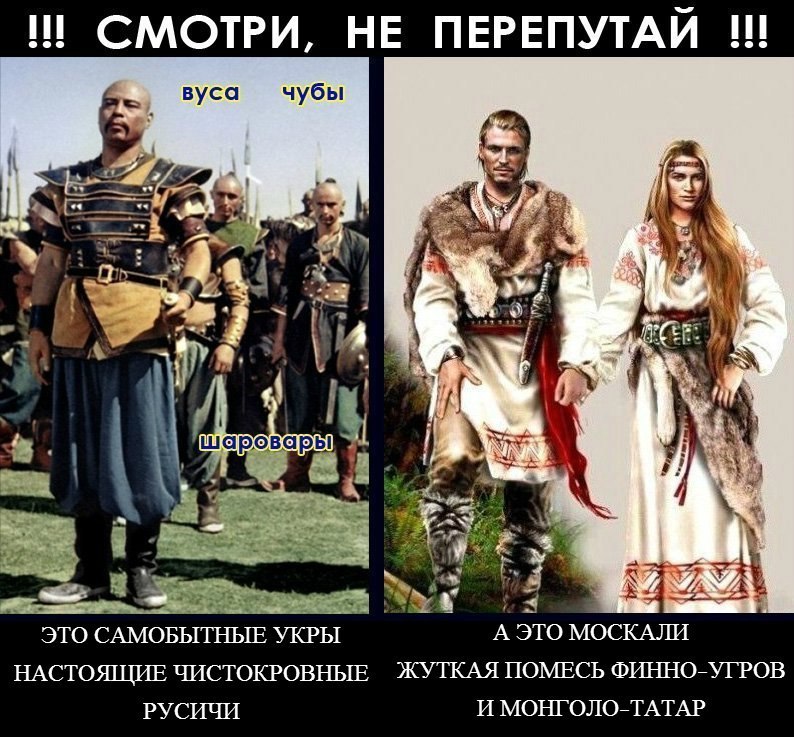 От кого произошли тата От кого произошли тата