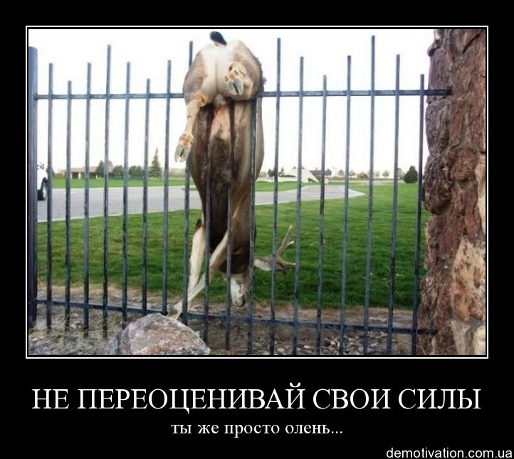 Не переоценивайте свои силы Не переоценивайте свои силы